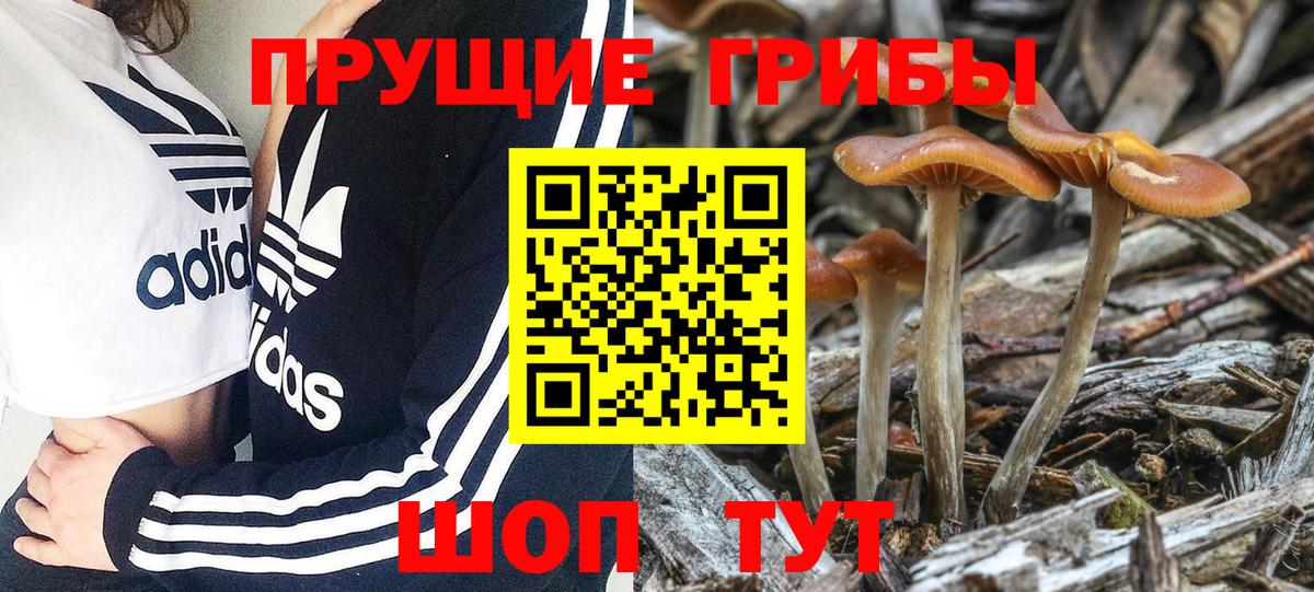 Псилоцибиновые грибы прущие грибы Благодарный